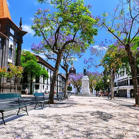 Stylish Apartment With Balcony And Amazing Views Over Funchal And The Sea Dış mekan fotoğraf