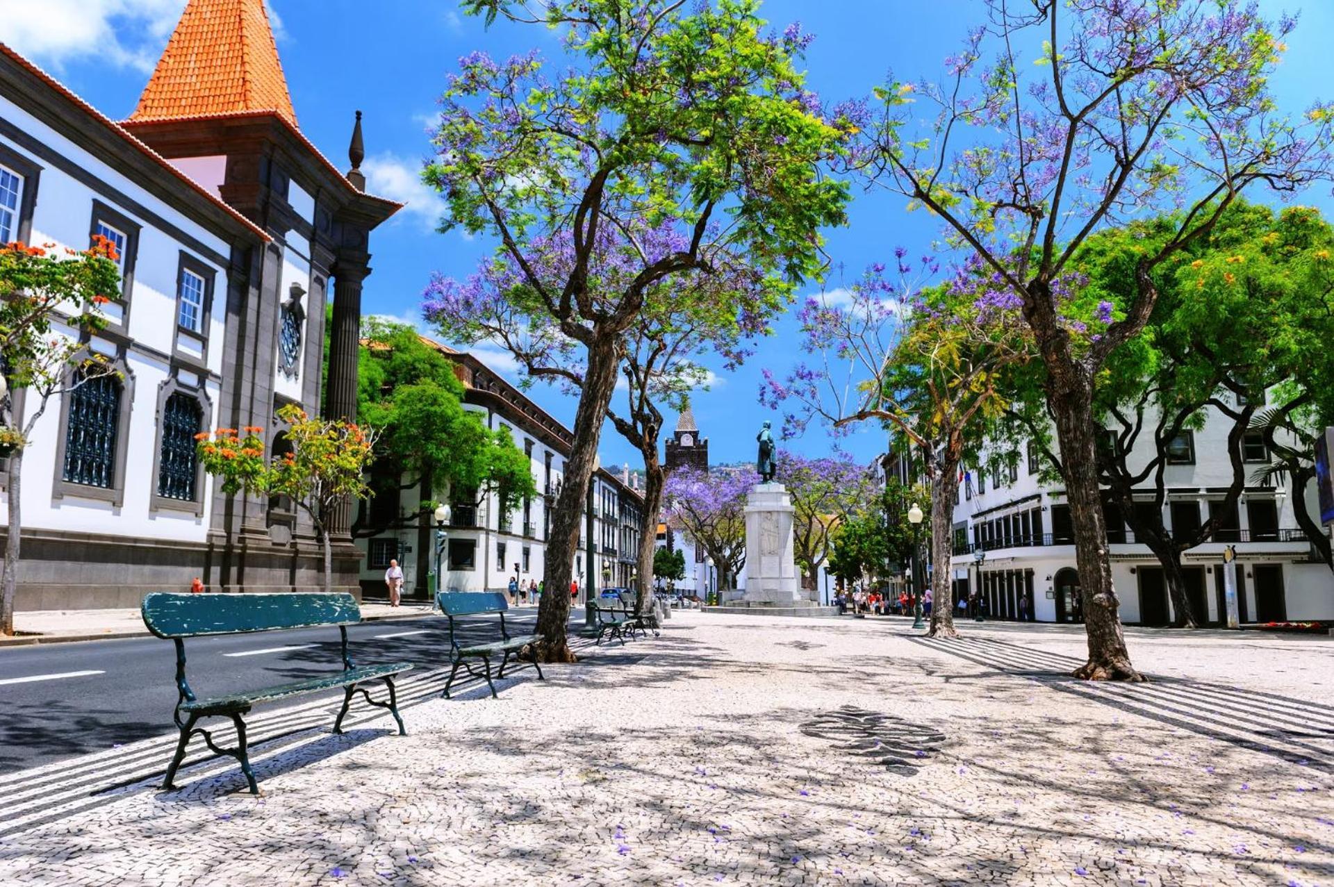 Stylish Apartment With Balcony And Amazing Views Over Funchal And The Sea Dış mekan fotoğraf